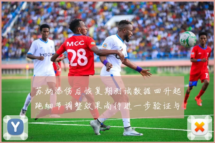 苏炳添伤后恢复期测试数据回升起跑细节调整效果尚待进一步验证与观察
